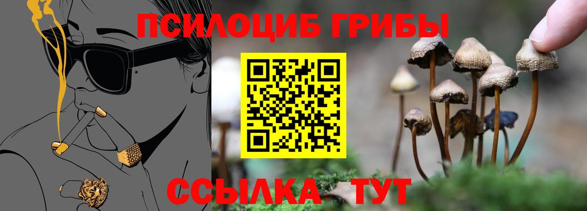 Галлюциногенные грибы Psilocybe  Псилоцибиновые грибы прущие грибы  Вход с VPN  Балтийск 